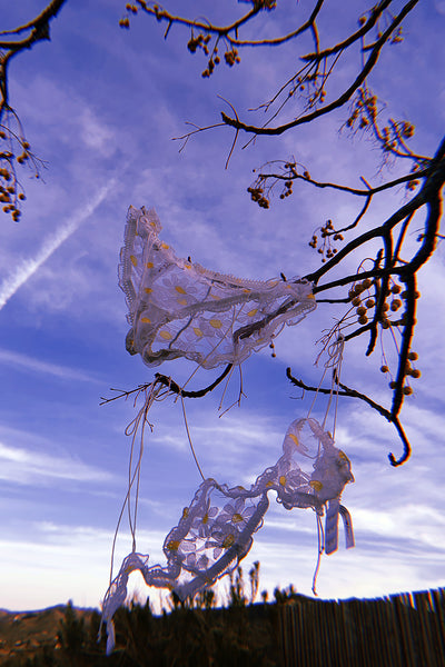 LAST ONE Anaphora Bralette in Sheer Upcycled Vintage Daisy Tulle Mesh