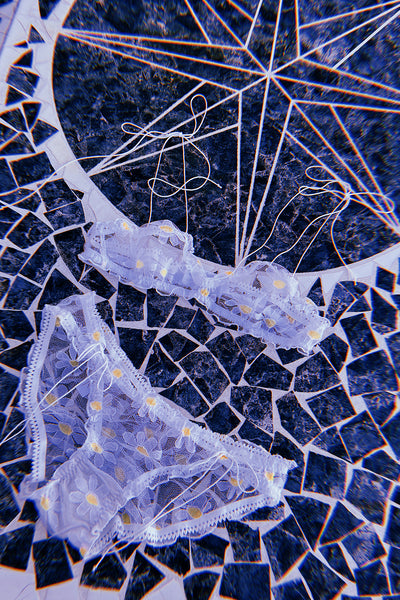 LAST ONE Anaphora Bralette in Sheer Upcycled Vintage Daisy Tulle Mesh